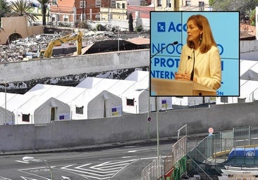 Dimite la directora general del Sistema de Acogida de Protección Internacional