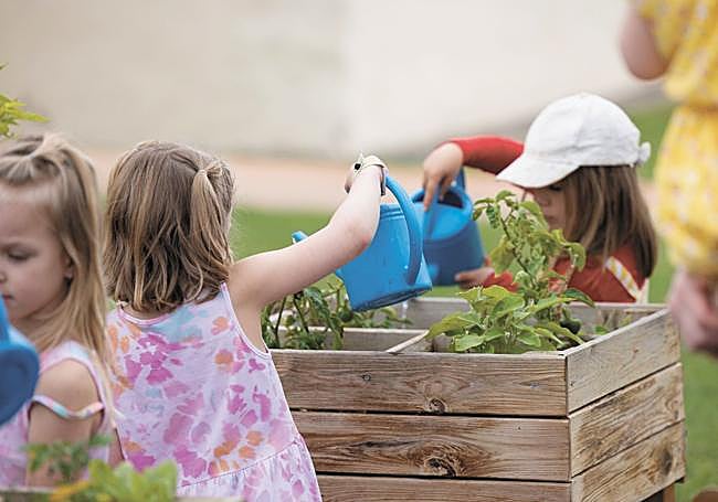 Niños en el huerto del hotel HD Parque Cristóbal Gran Canaria participando en actividades que fomentan el cuidado del medioambiente.