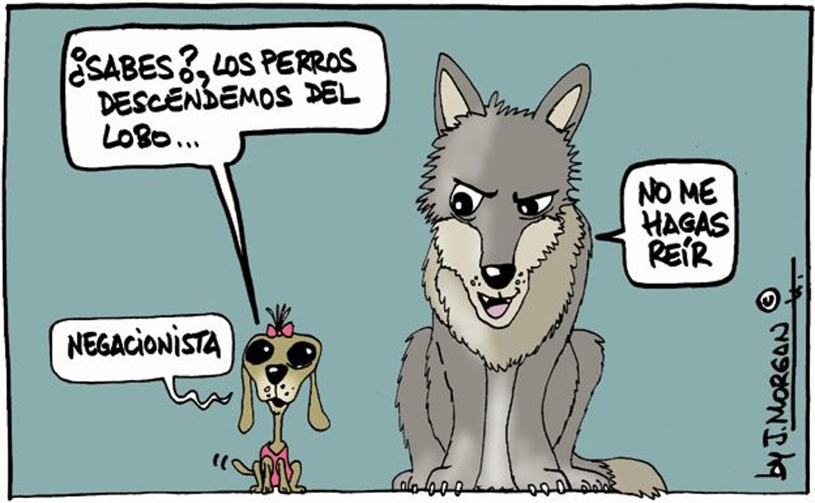 La viñeta de Morgan de este martes 8 de julio