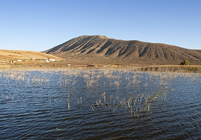El proyecto incluye la creación de un humedal artificial.