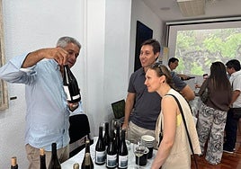 Vinos canarios en Madrid