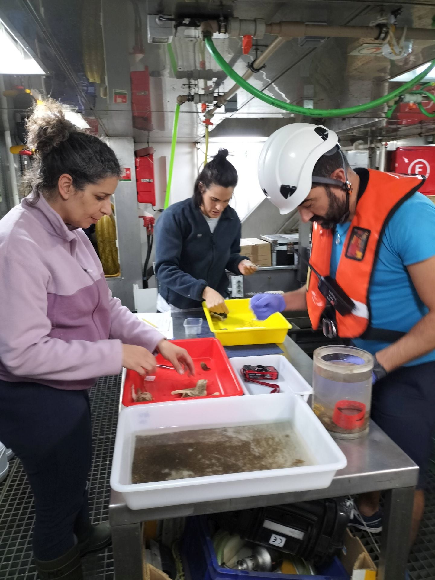 Personal del Instituto Español de Oceanografía analiza muestras biológicas tomadas de los fondos del Mar de las Calmas.