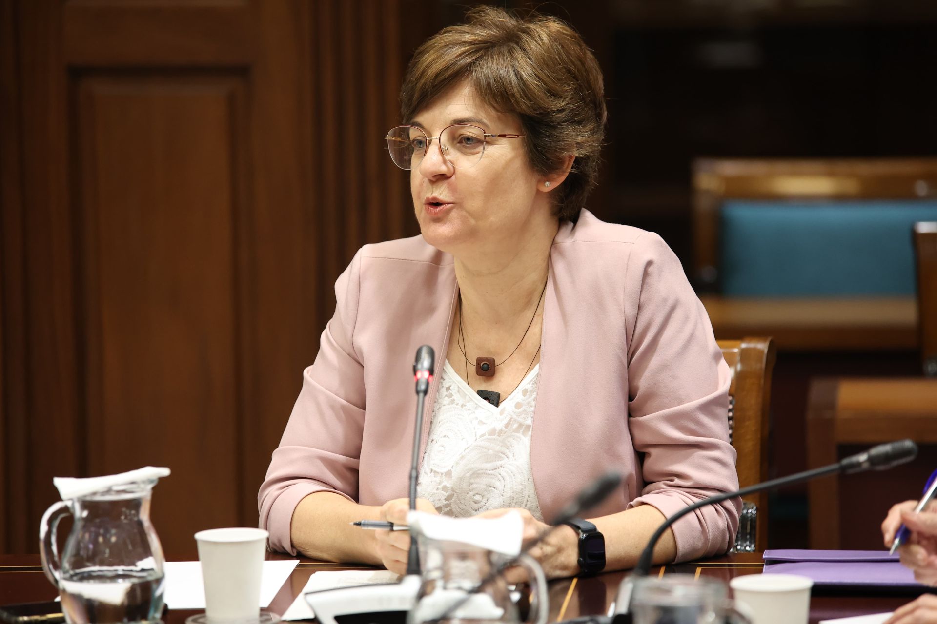 La responsable de investigación de Amnistía Internacional, Virginia Álvarez, en comisión parlamentaria este viernes.