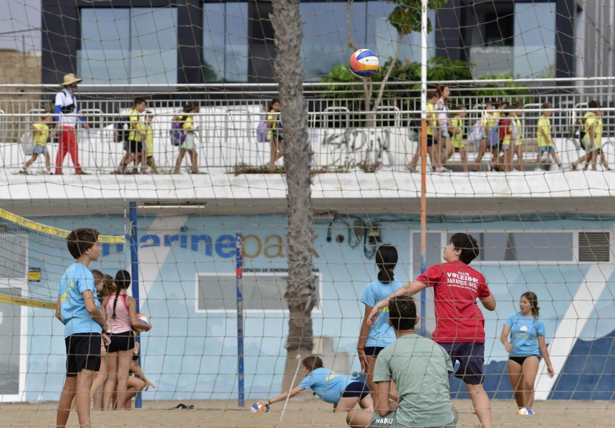 Imagen de actividades deportivas de verano en la playa de Las Alcaravaneras.