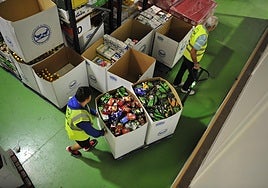 Foto de archivo de dos voluntarios en el Banco de Alimentos de Las Palmas.