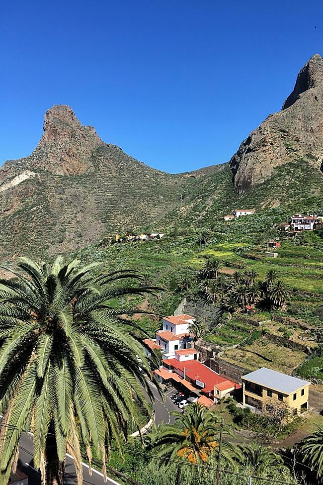 Gastronomía sostenible