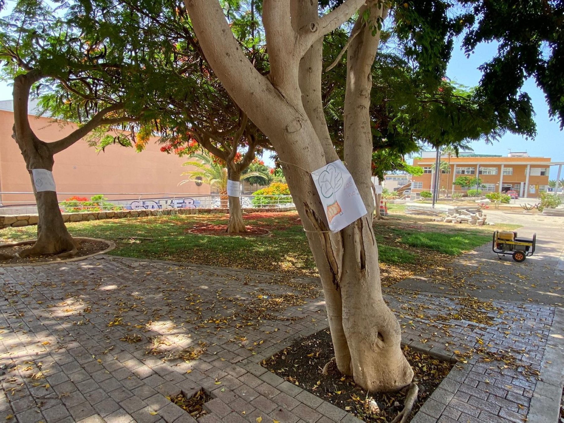 En esta zona se ubicará el futuro velatorio.