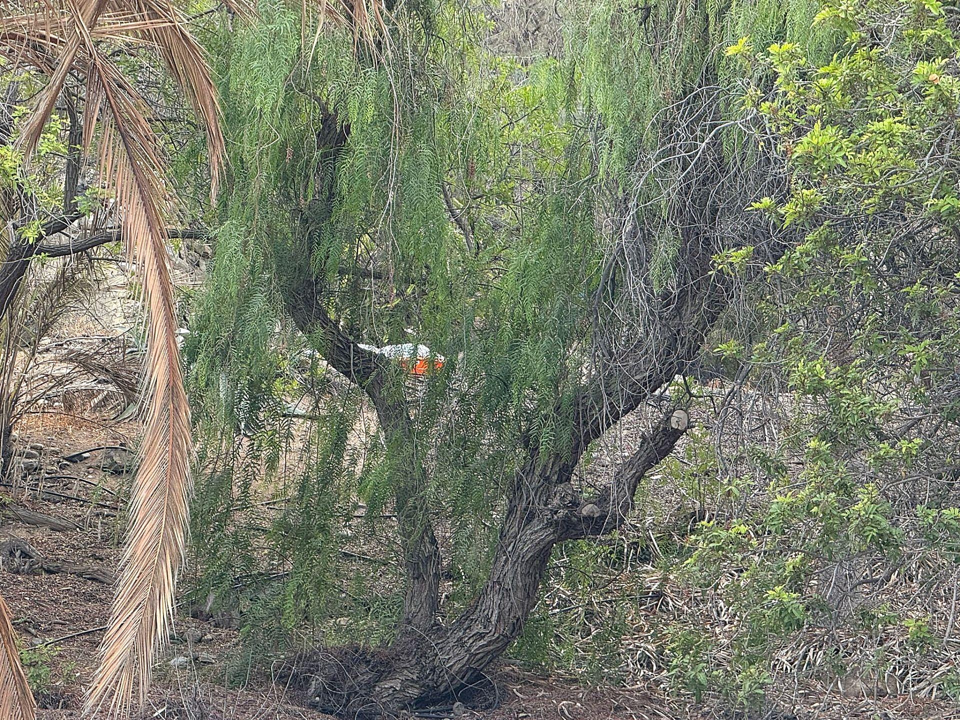 Así es el lugar donde encontraron el cuerpo en avanzado estado de descomposición