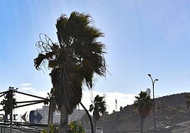 Viento en Las Palmas de Gran Canaria.