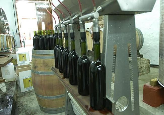 Labores de embotellado de vino en una bodega de Gran Canaria.