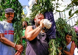 La Rama de Agaete 2025: horarios y programación