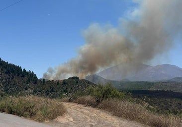 El incendio en Tenerife, estabilizado tras afectar 70 hectáreas y forzar la evacuación del Valle de Arriba