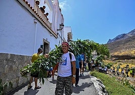 Agaete expondrá la emoción de La Rama en paneles informativos durante su recorrido