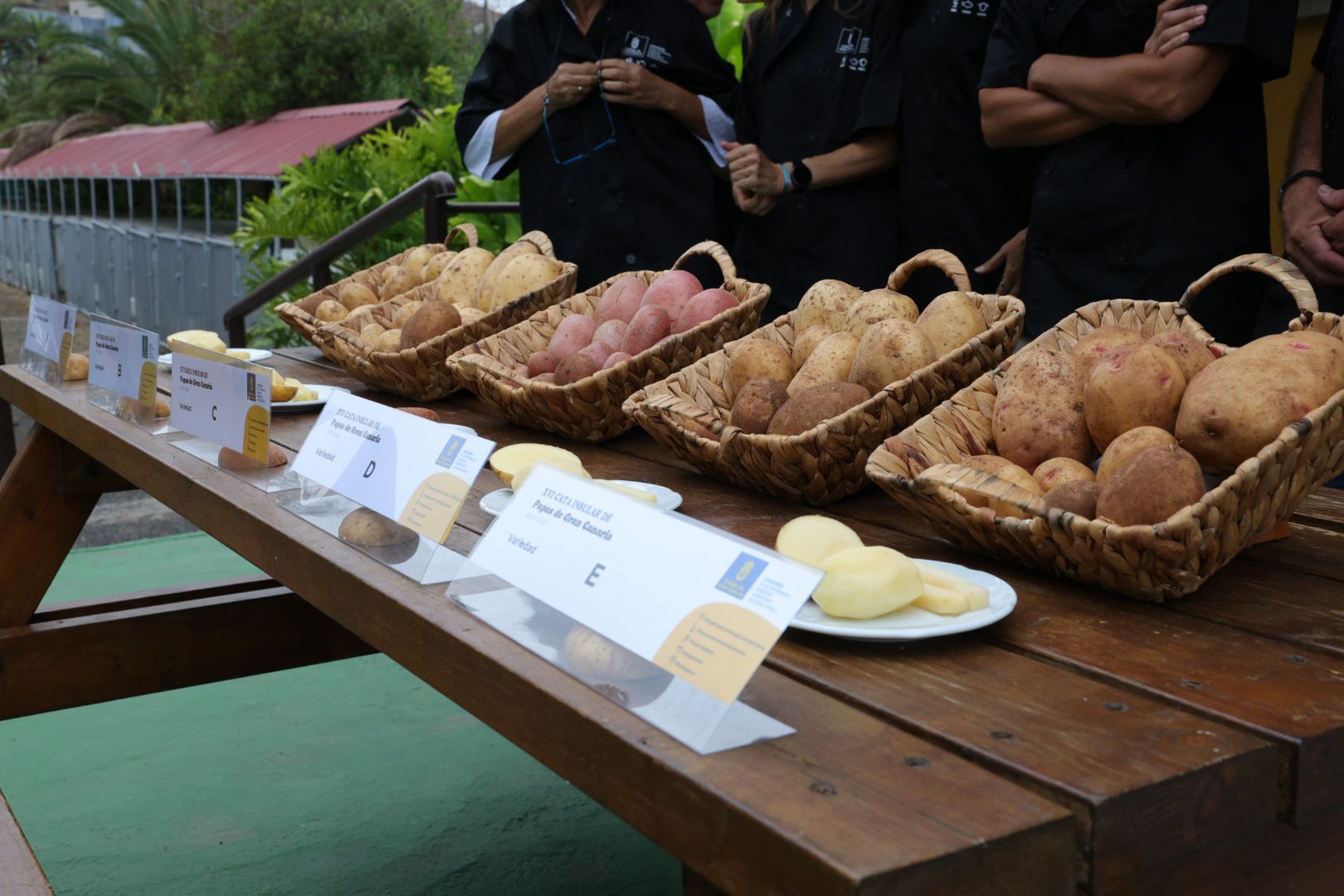 Así fue la XVI Cata Insular de Papas de Gran Canaria