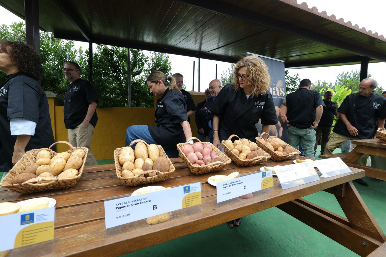 Así fue la XVI Cata Insular de Papas de Gran Canaria