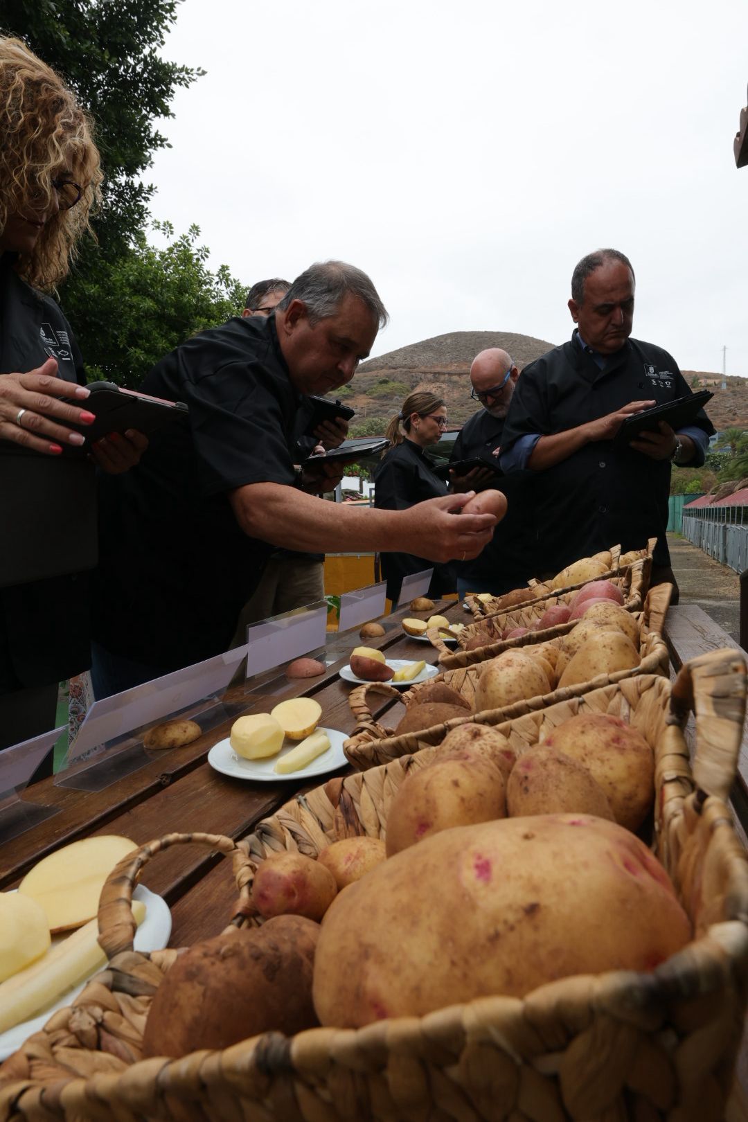 Así fue la XVI Cata Insular de Papas de Gran Canaria