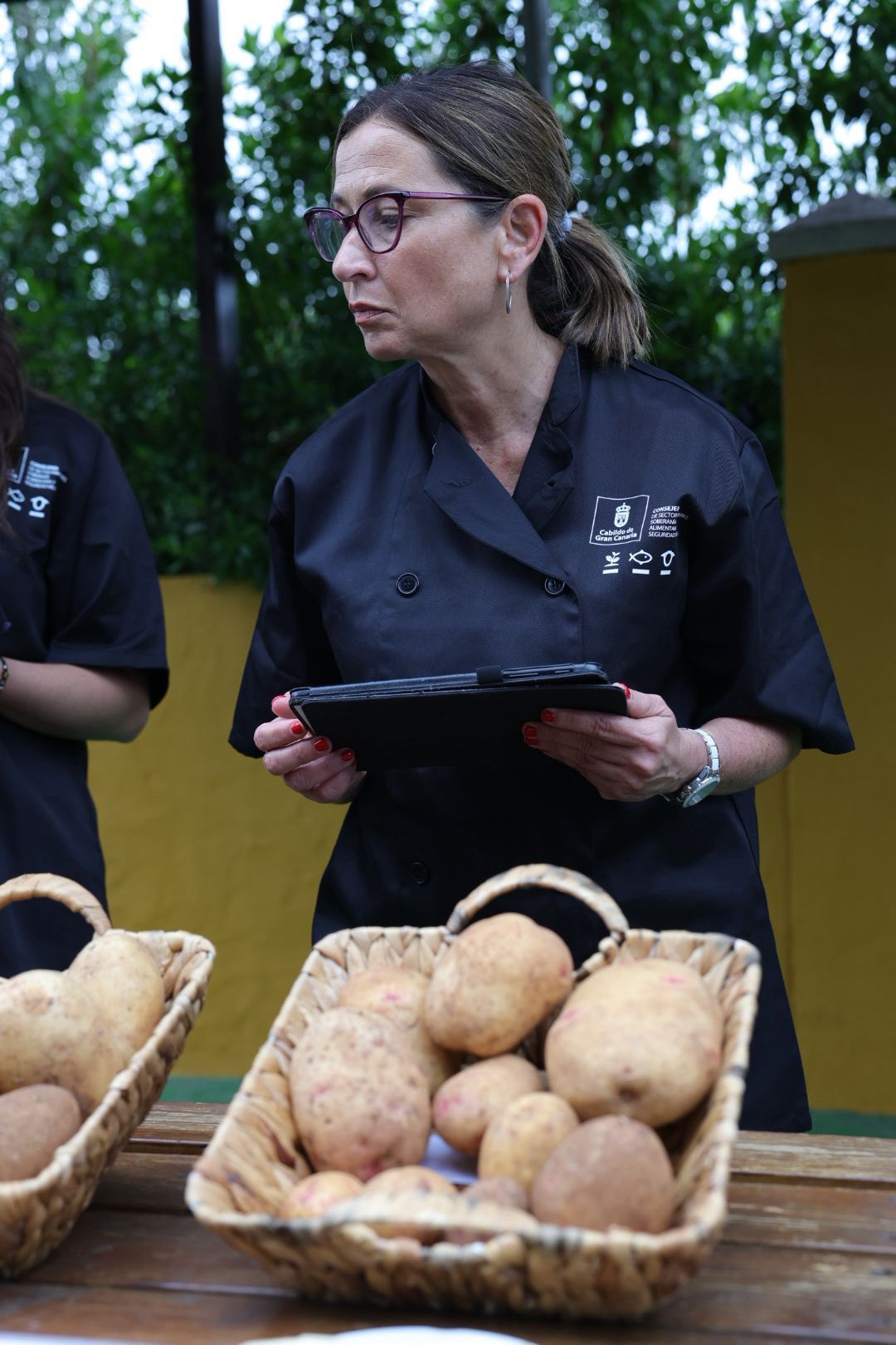 Así fue la XVI Cata Insular de Papas de Gran Canaria