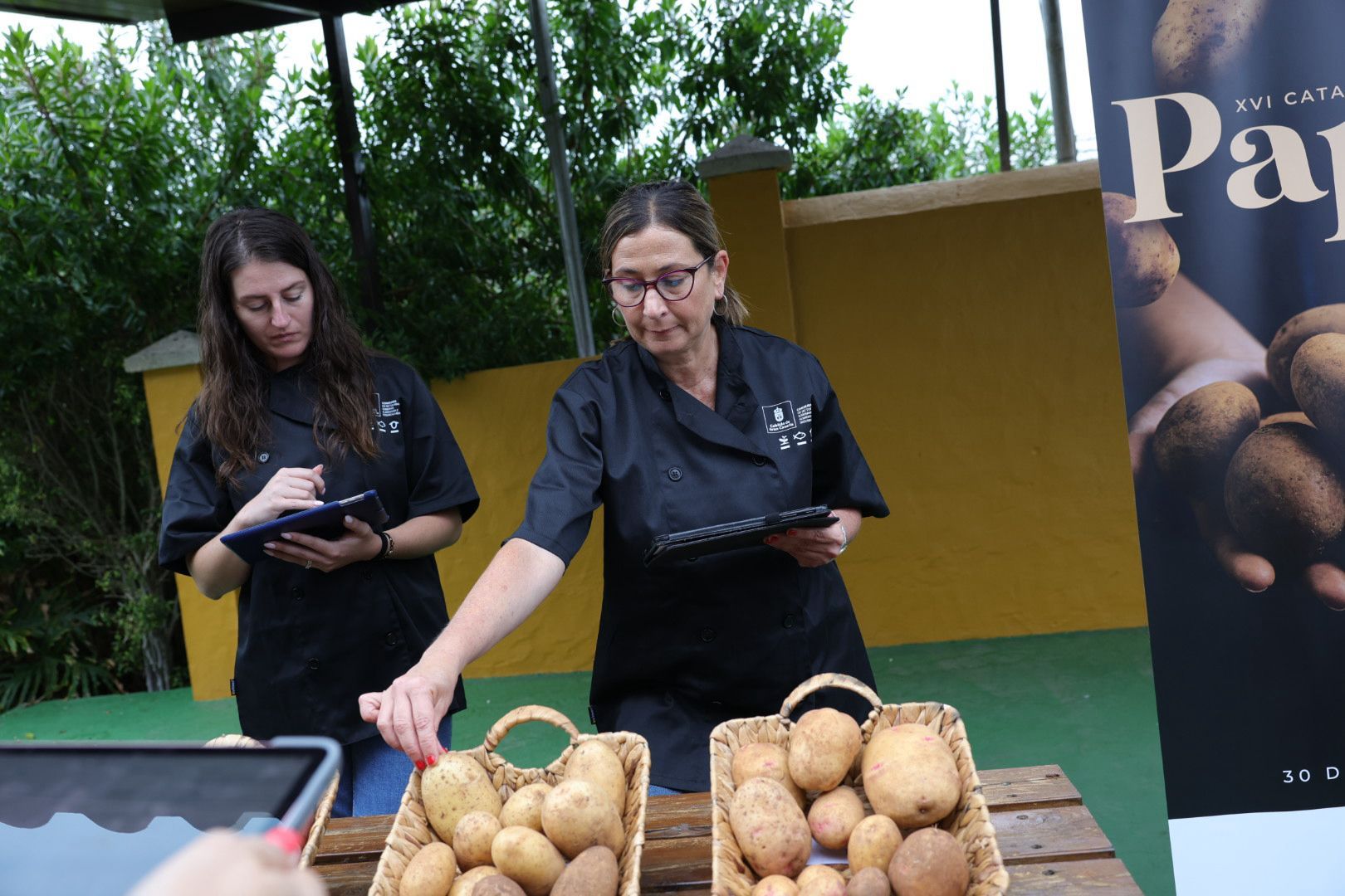Así fue la XVI Cata Insular de Papas de Gran Canaria