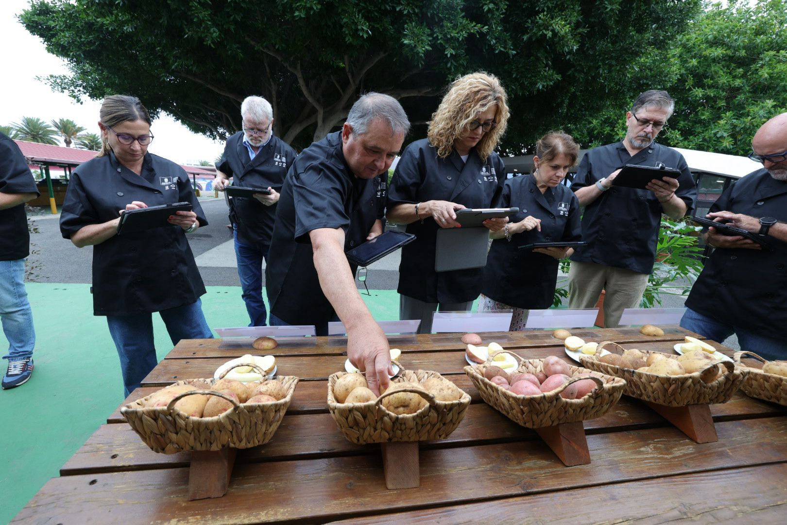 Así fue la XVI Cata Insular de Papas de Gran Canaria