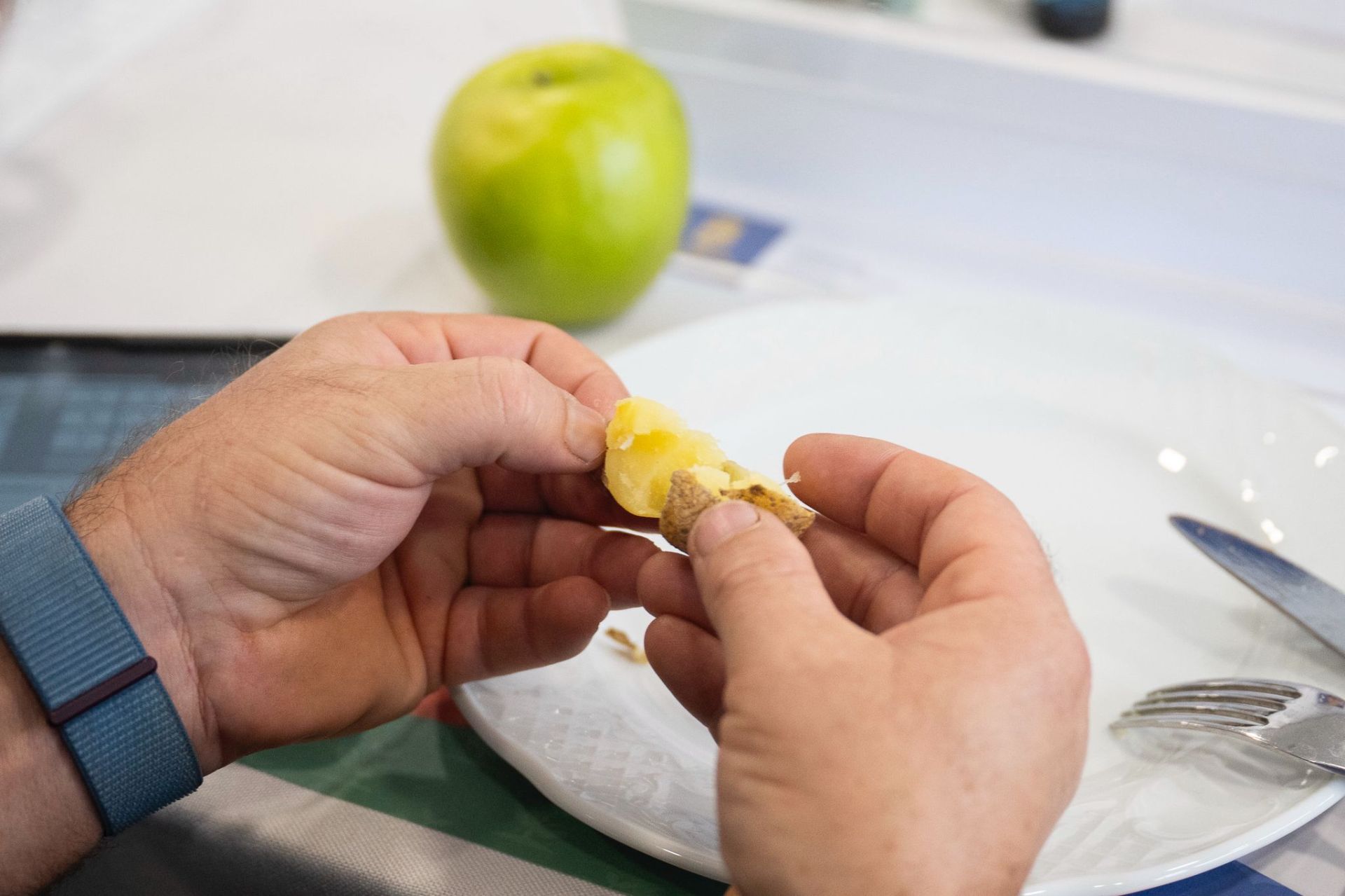 Así fue la XVI Cata Insular de Papas de Gran Canaria