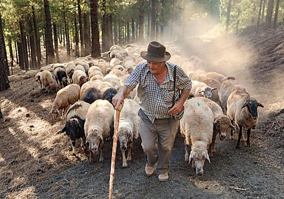 Benito Mendoza, mítico pastor de Caideros.