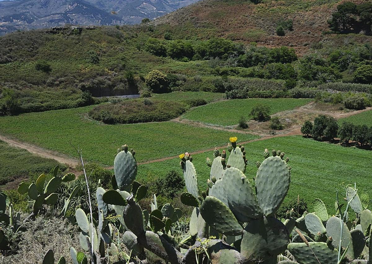 Imagen secundaria 1 - A la derecha, el emblemático cráter volcánica de la Caldera de Pino Santo. A la izquierda, Cristian Ortiz, actual presidente de la asociación de vecinos.