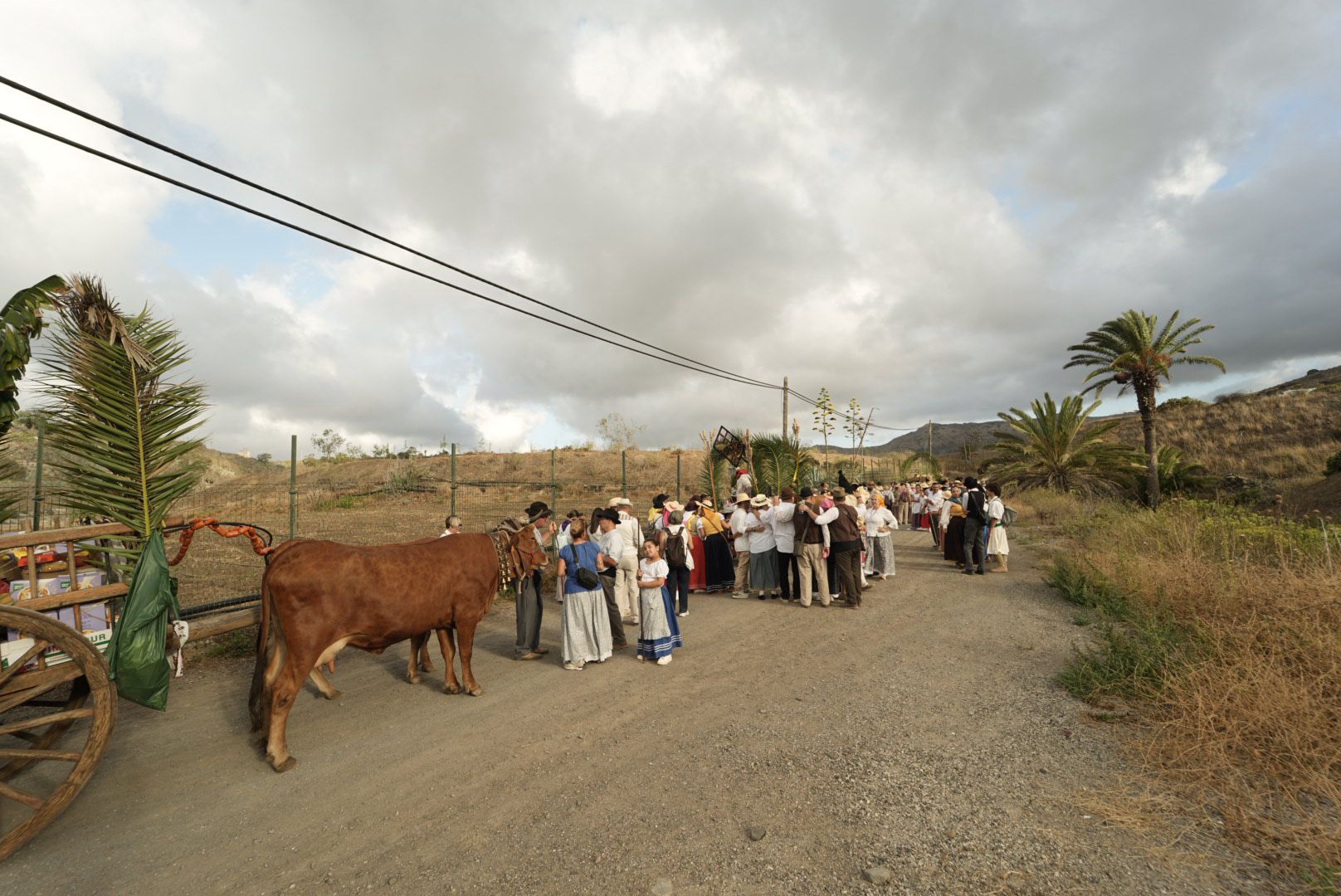 Carretes y romeros por el Camino Viejo de San Lorenzo