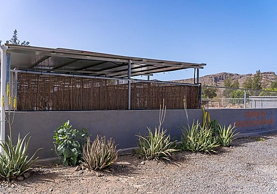 Sistema de nebulización instalado en el centro de protección animal.