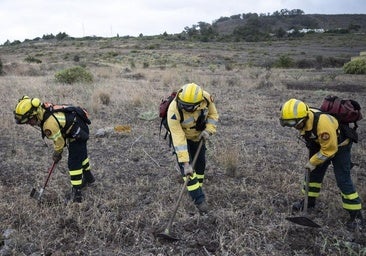 El Cabildo de Gran Canaria activa el plan contra incendios forestales por la ola de calor