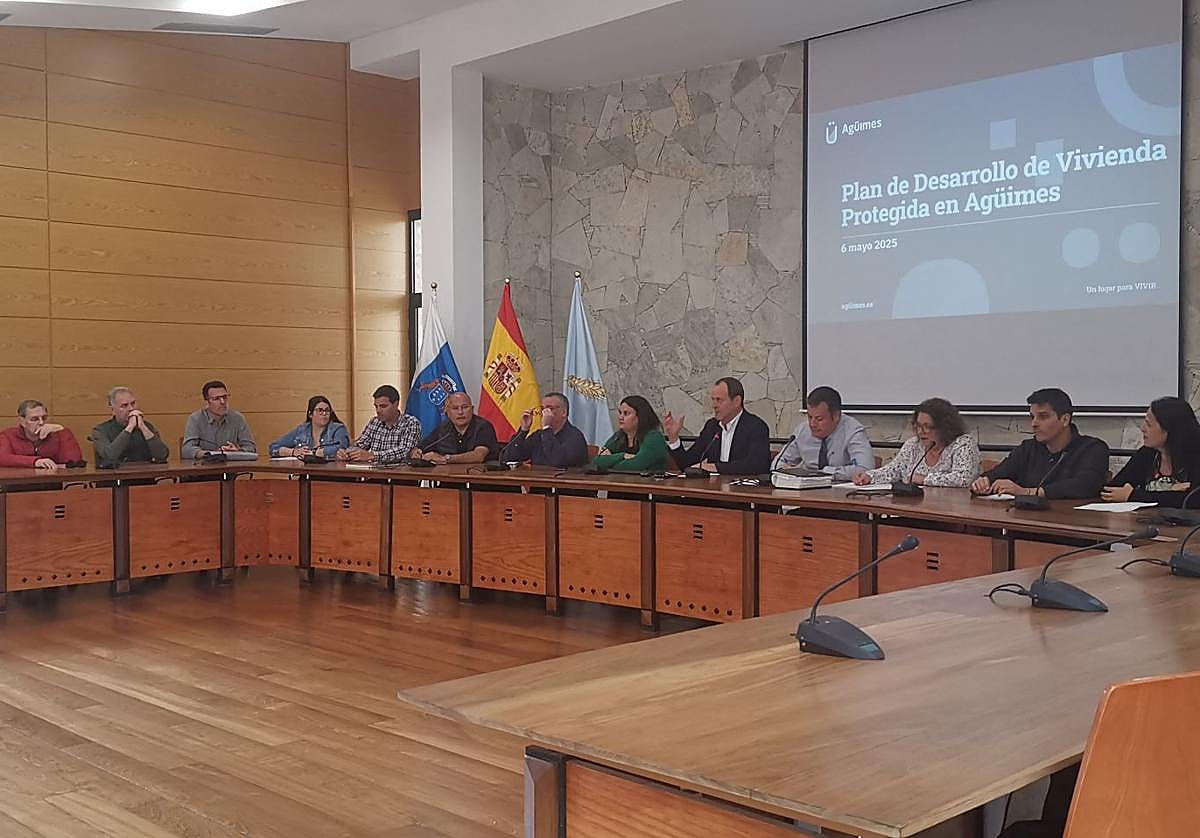 Imagen de archivo de la sesión plenaria que aprobó el Plan de Viviendas de alquiler asequible.