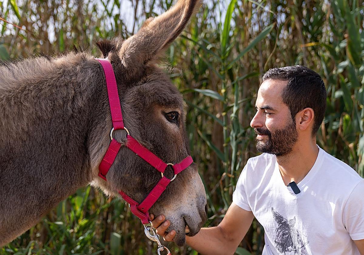 Imagen principal - Valleseco celebra este sábado la Noche Mágica del Burro