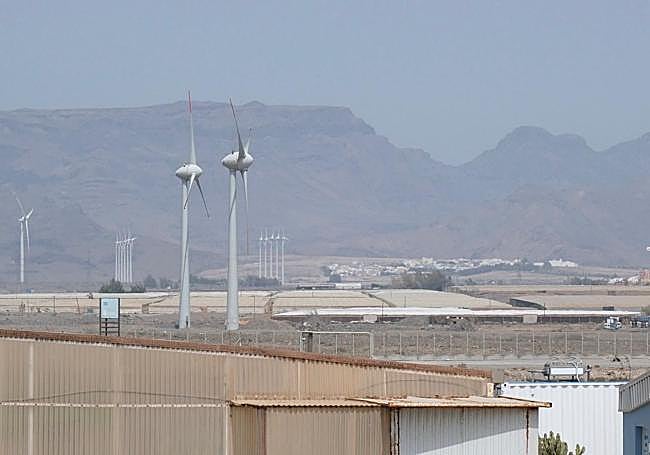 Al cóctel de bochorno que reina en Canarias se ha unido la calima.