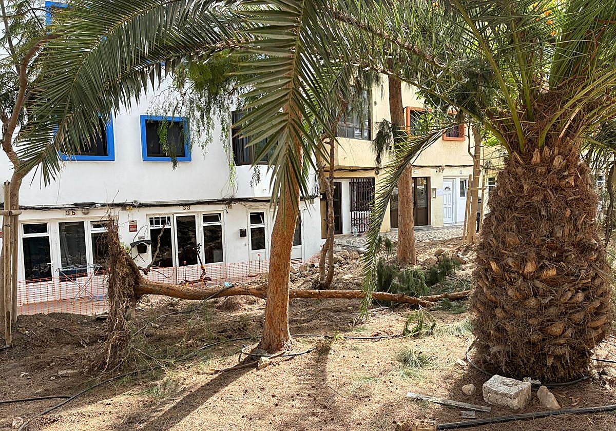 La obra municipal, que implica la eliminación de la zona verde de Corralejo, se financia con fondos europeos.