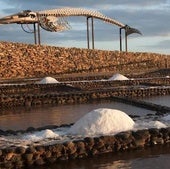 Cocederos de las Salinas del Carmen, en el municipio de Antigua.