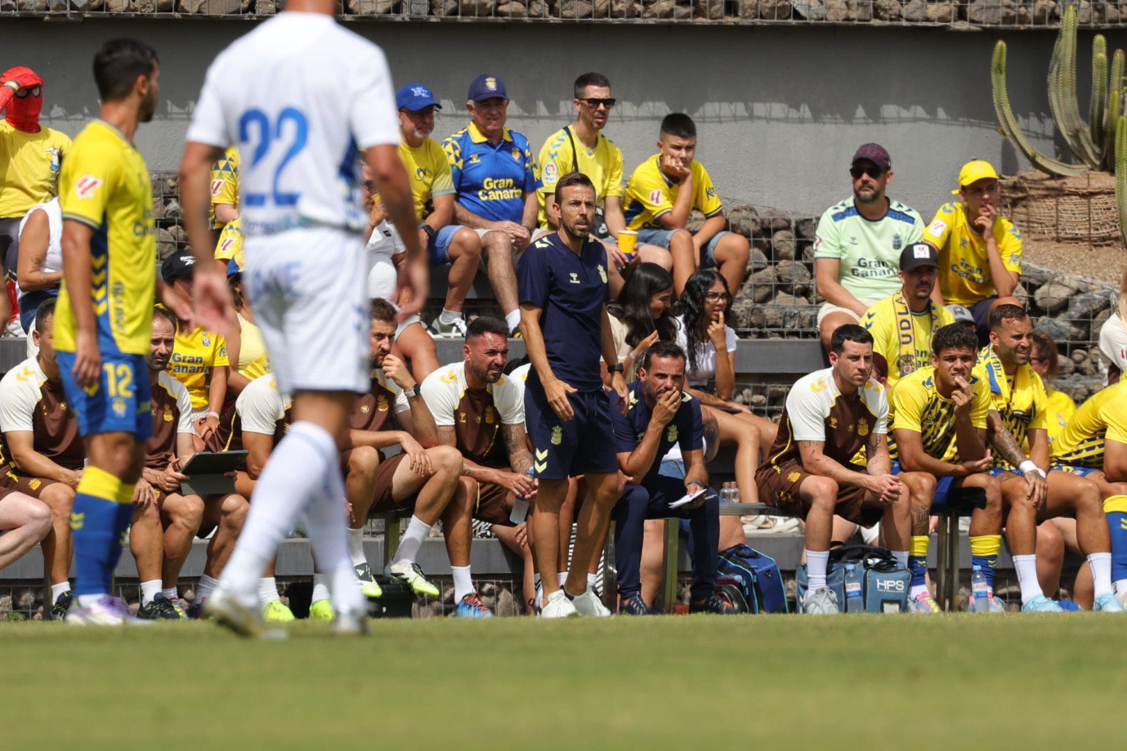 Pasión y rivalidad en el derbi canario: UD Las Palmas - CD Tenerife