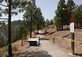 Sendero camino al Roque Nublo.