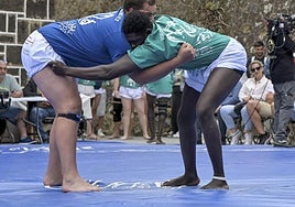 Imagen de una luchada.