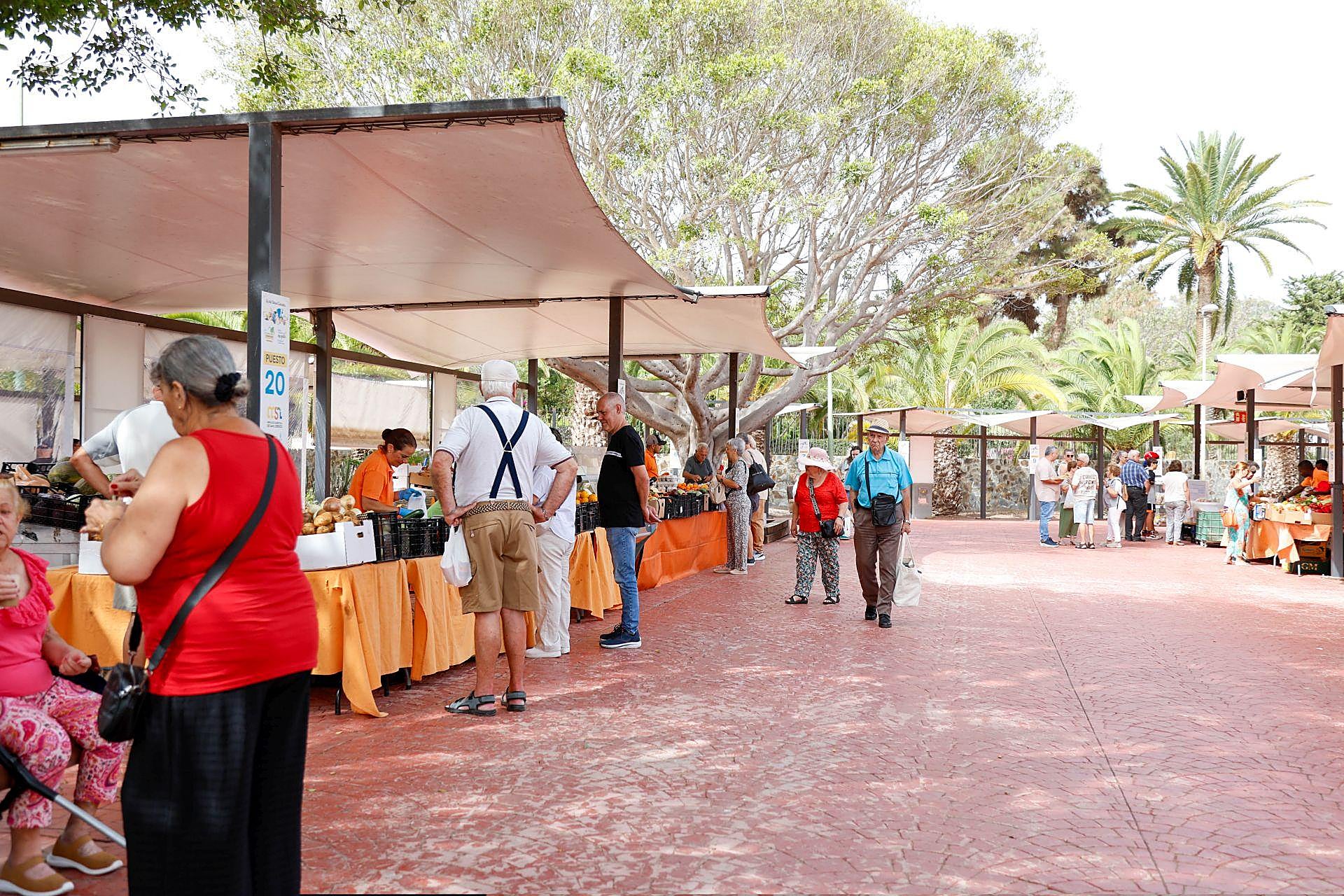 La mejores imágenes del día grande de San Lorenzo