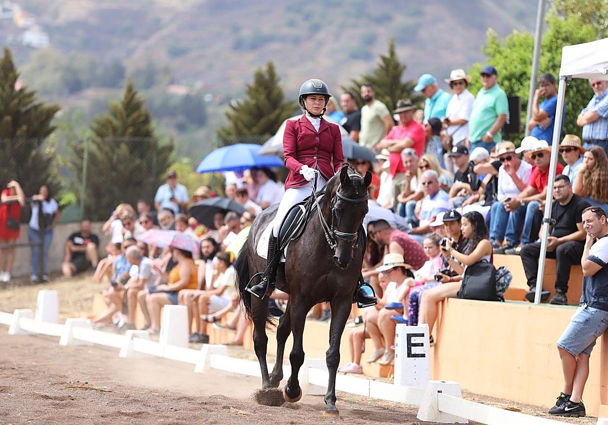 Imagen de ediciones anteriores del Día del Caballo en Santa Brígida.
