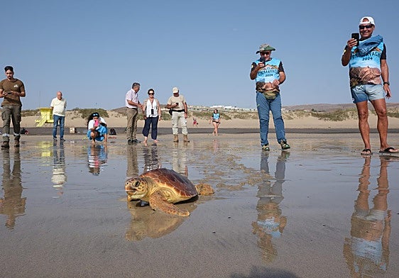 Miembros del club de montañismo de Tenerife graban la suelta de Playa Blanca.