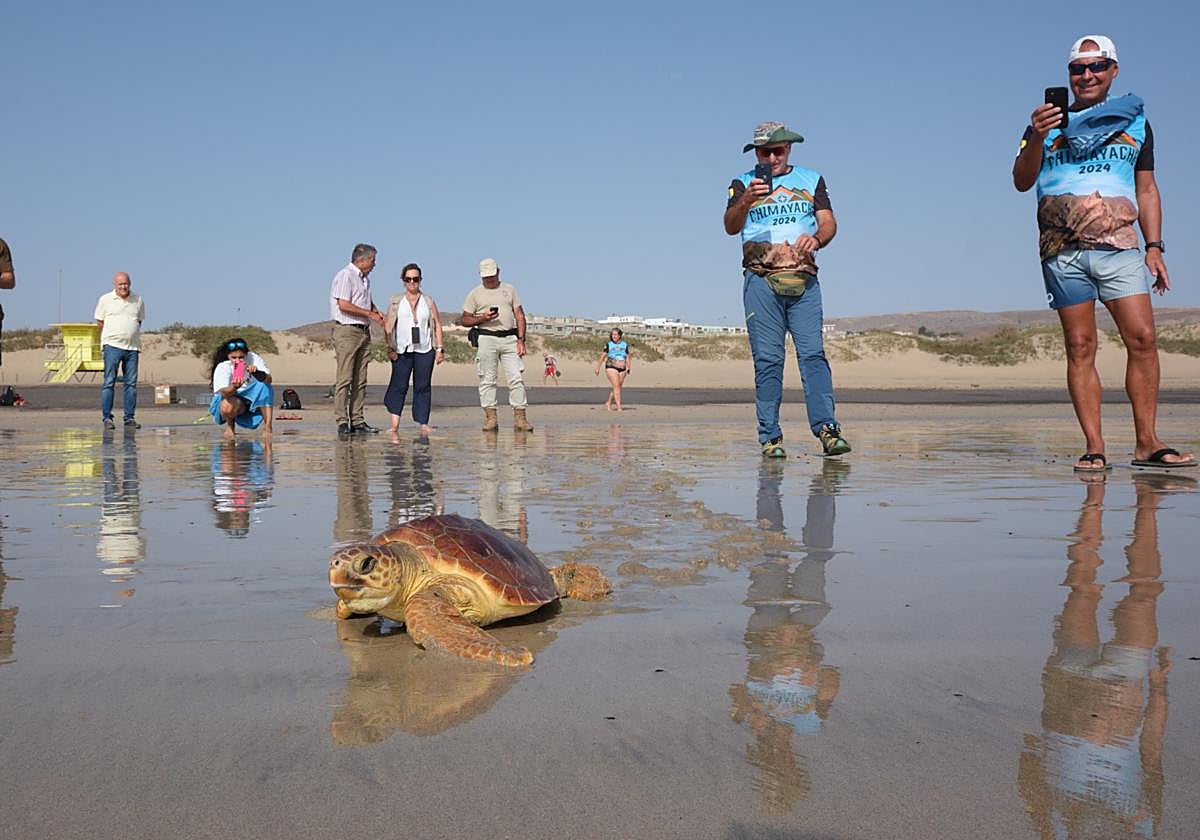 Miembros del club de montañismo de Tenerife graban la suelta de Playa Blanca.
