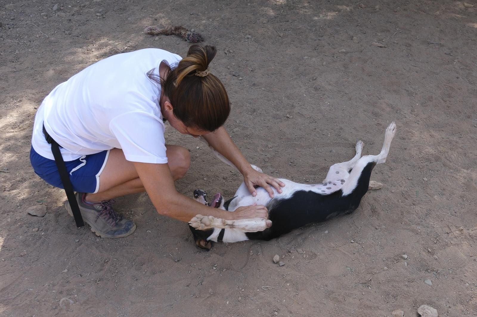 Visita por el Centro de Protección Animal de Santa Lucía de Tirajana