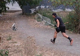 Así fue la retirada de gallos y gallinas de La Paterna