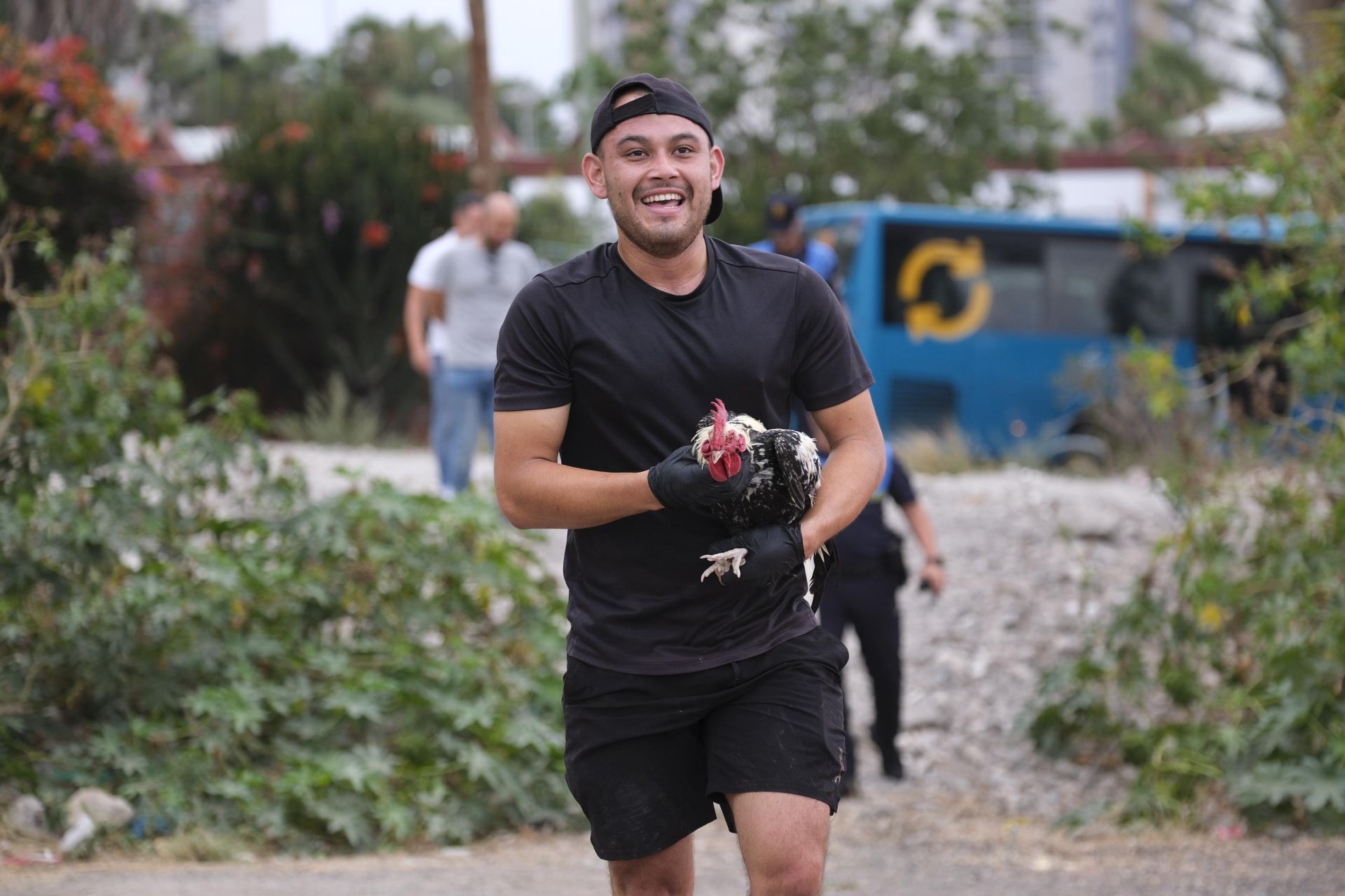 Así fue la retirada de gallos y gallinas de La Paterna