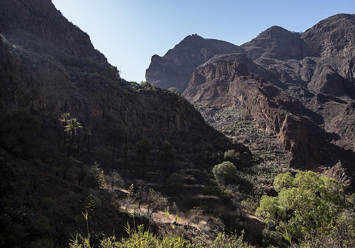 Imagen principal - Guayadeque: cuevas, gastronomía y corazón isleño