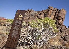 Los grabados rupestres de Balos están incluidos en el contrato.