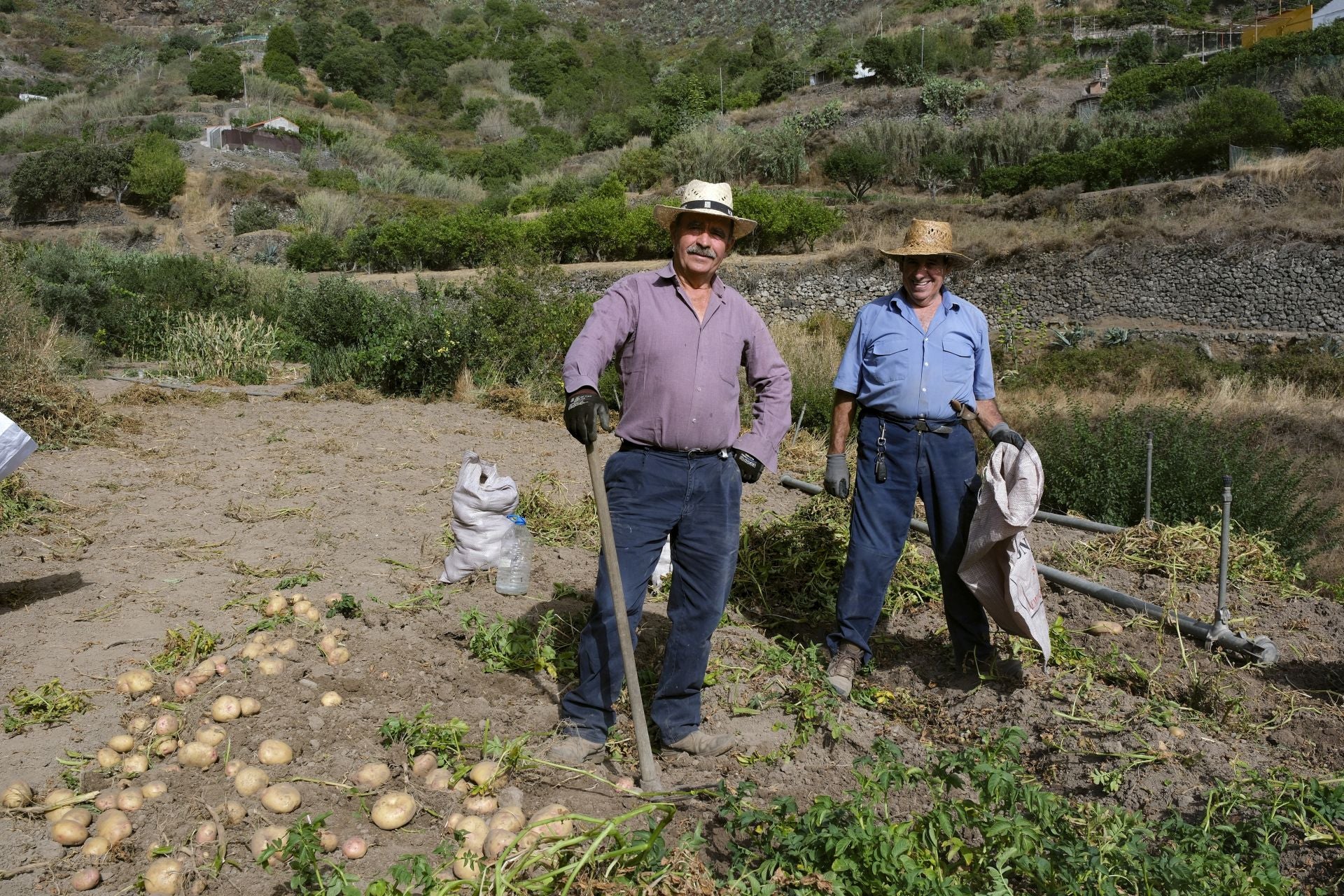Imagen principal - San Isidro, castañeros y papas a mansalva