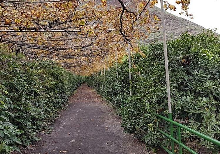 Imagen de la finca La Laja.