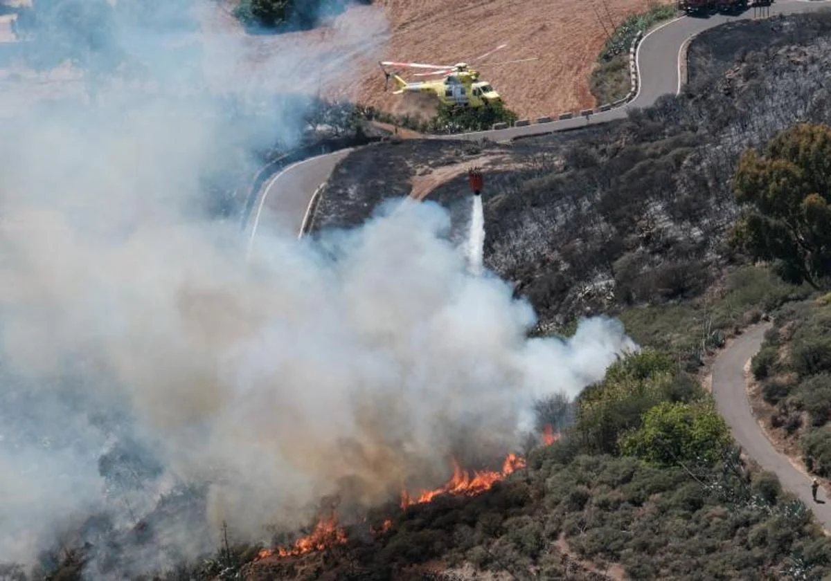 Imagen de archivo del incendio que asoló la cumbre de Gran Canaria en 2019.