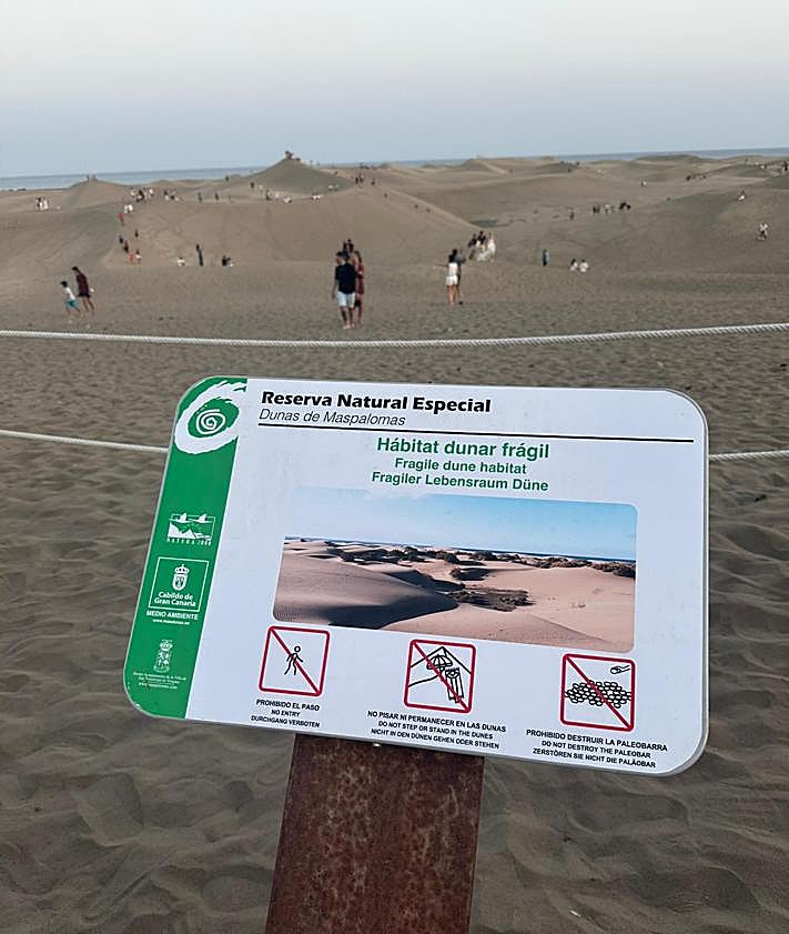 Imagen secundaria 2 - Dunas de Maspalomas: la maravilla que casi nadie respeta y nadie vigila